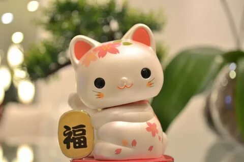 Download free HD stock image of Maneki Neko Japanese Lucky Cat.