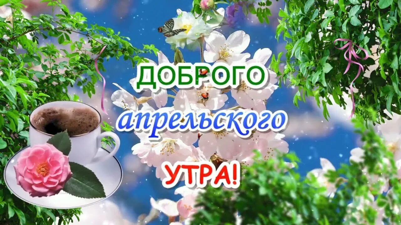 Привет мир утро. Доброго апрельского дня. открытки доброе апрельское утро. с добрым утром и хорошим днём апреля. открытки с добрым утром с пожеланиями.