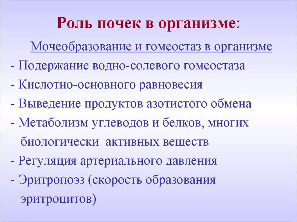 Какую функцию выполняют почки у человека. Функции почек в организме человека. Роль почек в организме. Почки их функция в организме человека. Функция почек в организме человека кратко и понятно.