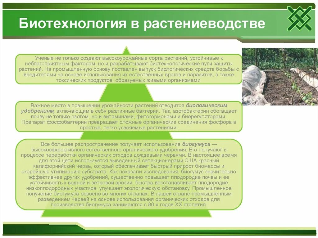 Методы биотехнологии растений. Биотехнологии в сельском хозяйстве. Достижения биотехнологии в растениеводстве. Биотехнология растений. Биотехнология в защите растений.