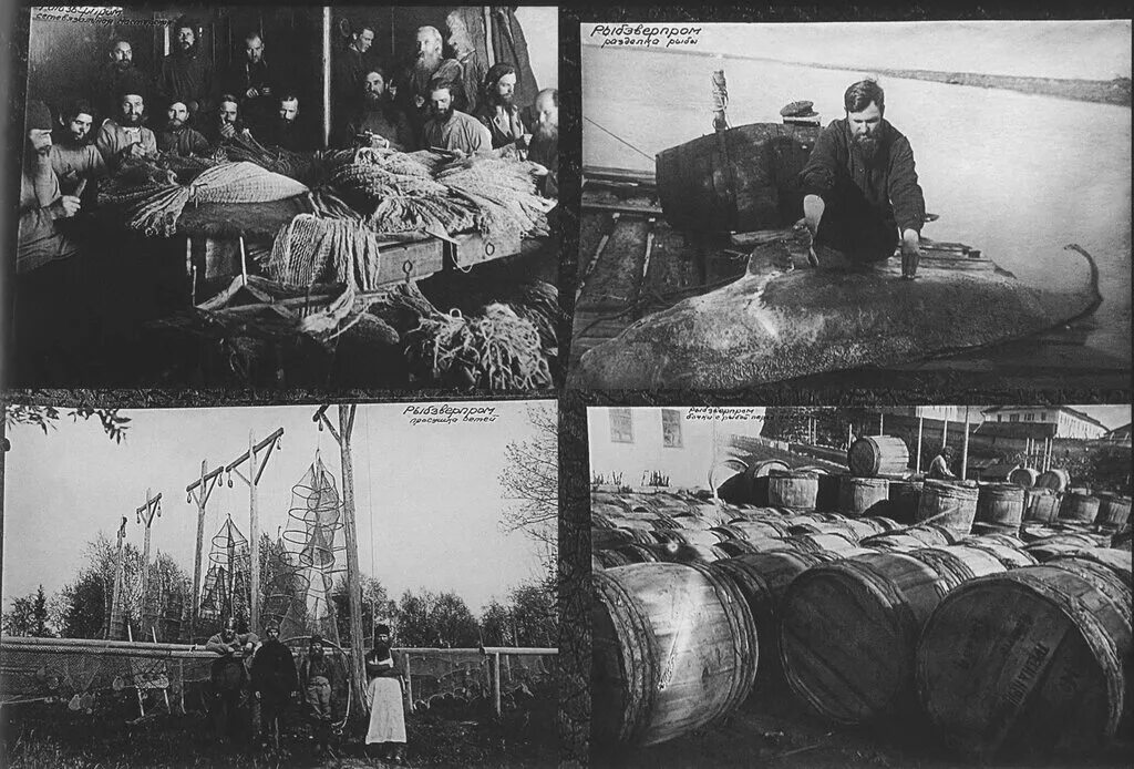 Колыма магаданские сталинские лагеря. Соловецкие острова лагерь особого назначения. Соловецкий лагерь особого назначения 1923-1939. The люди антон лядов. Соловецкий лагерь особого назначения слон.