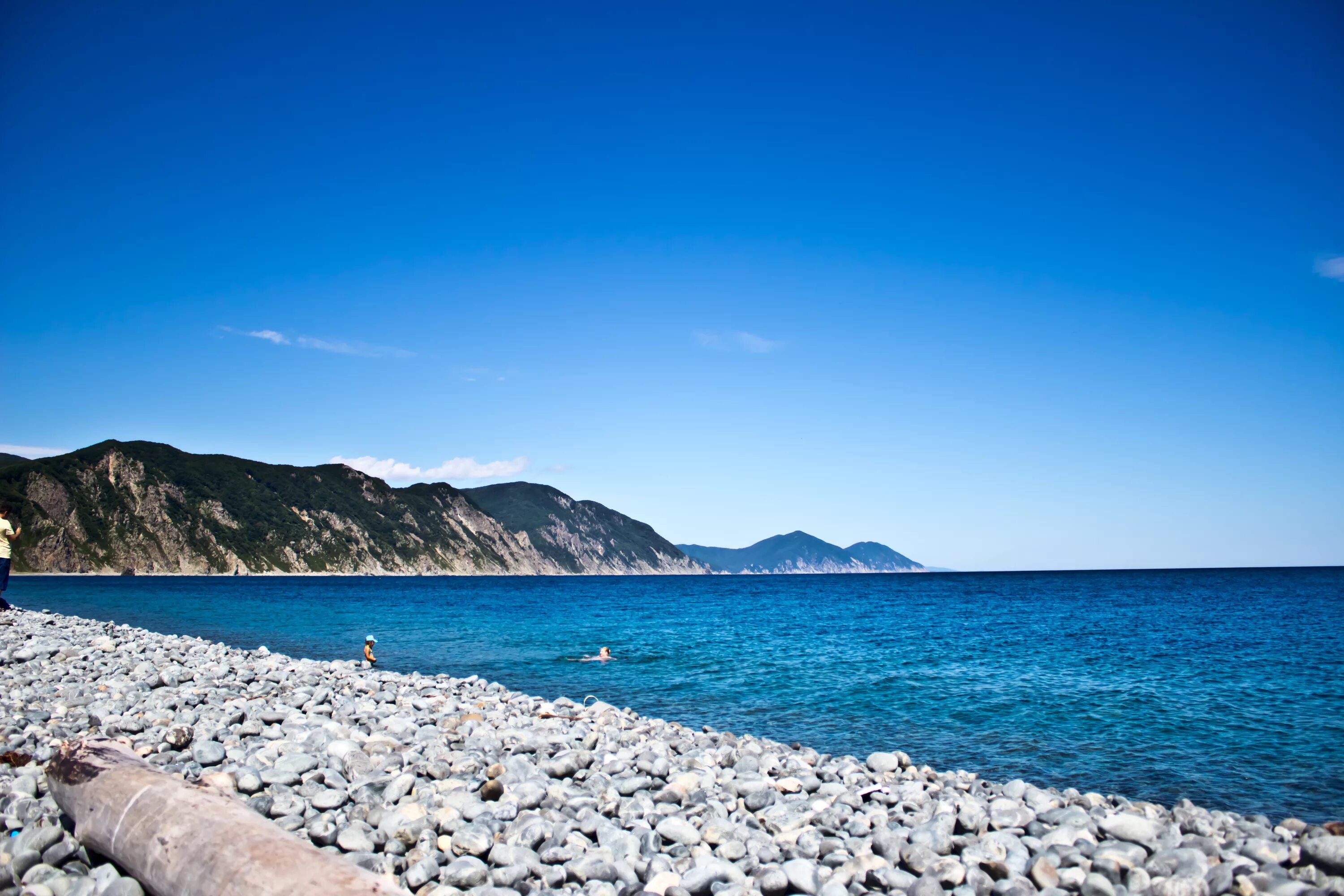 Бухта ежовая врангель. Бухта часы работы сегодня. Бухта часы работы сегодня. Бухта козина приморский край. Мыс пассека приморский.