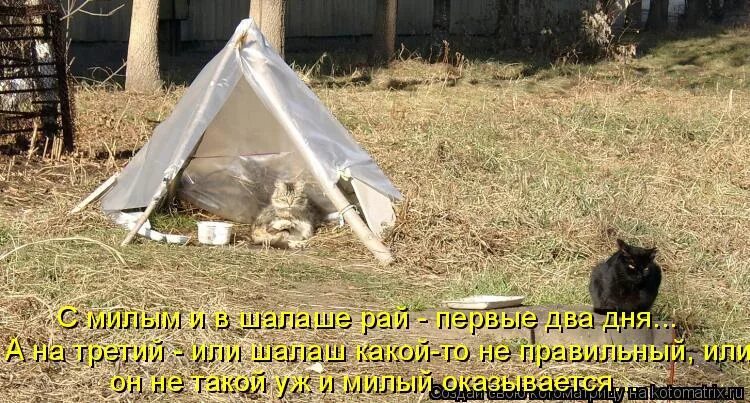 шалаш смешной. с милы и рай в шалаше. с милы и рай в шалаше. стихи про с милым рай в шалаше. рай в шалаше.