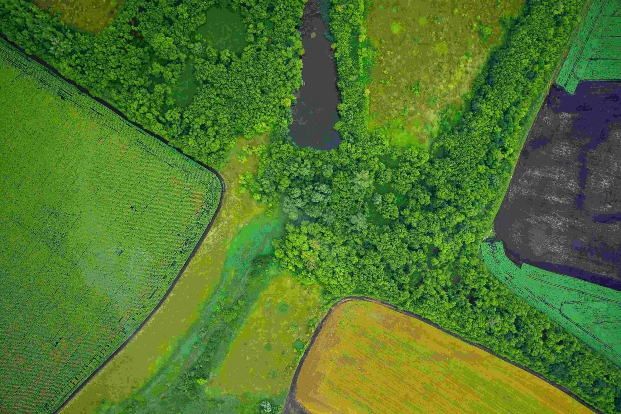 Изображение местности. Ортофотоплан с БПЛА. Аэрофотосъемка 1:500. Аэрофотосъемка с БПЛА. Аэросъемка с БПЛА.