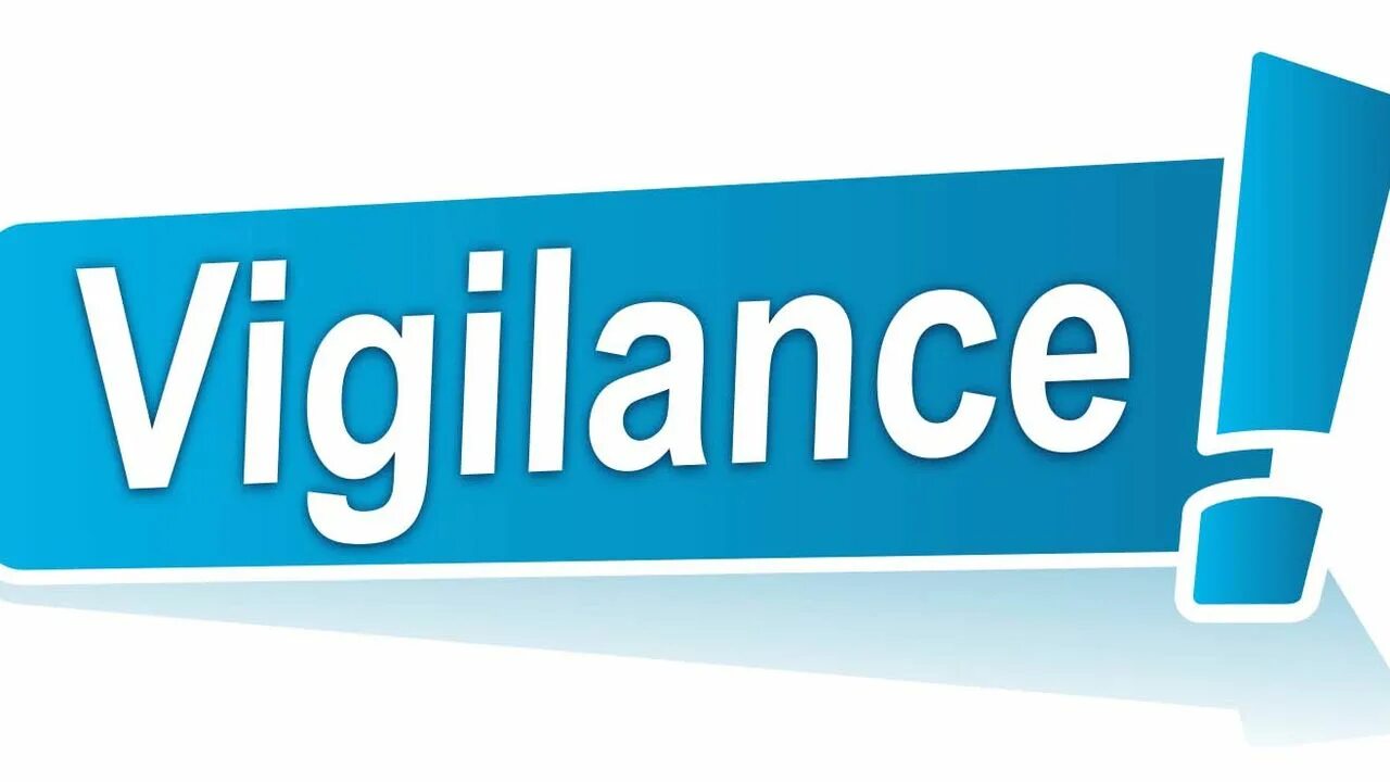 Vigilance. Комитет бдительности сан-франциско. Ms. Vigilance перевод. Vigilance harrington group.