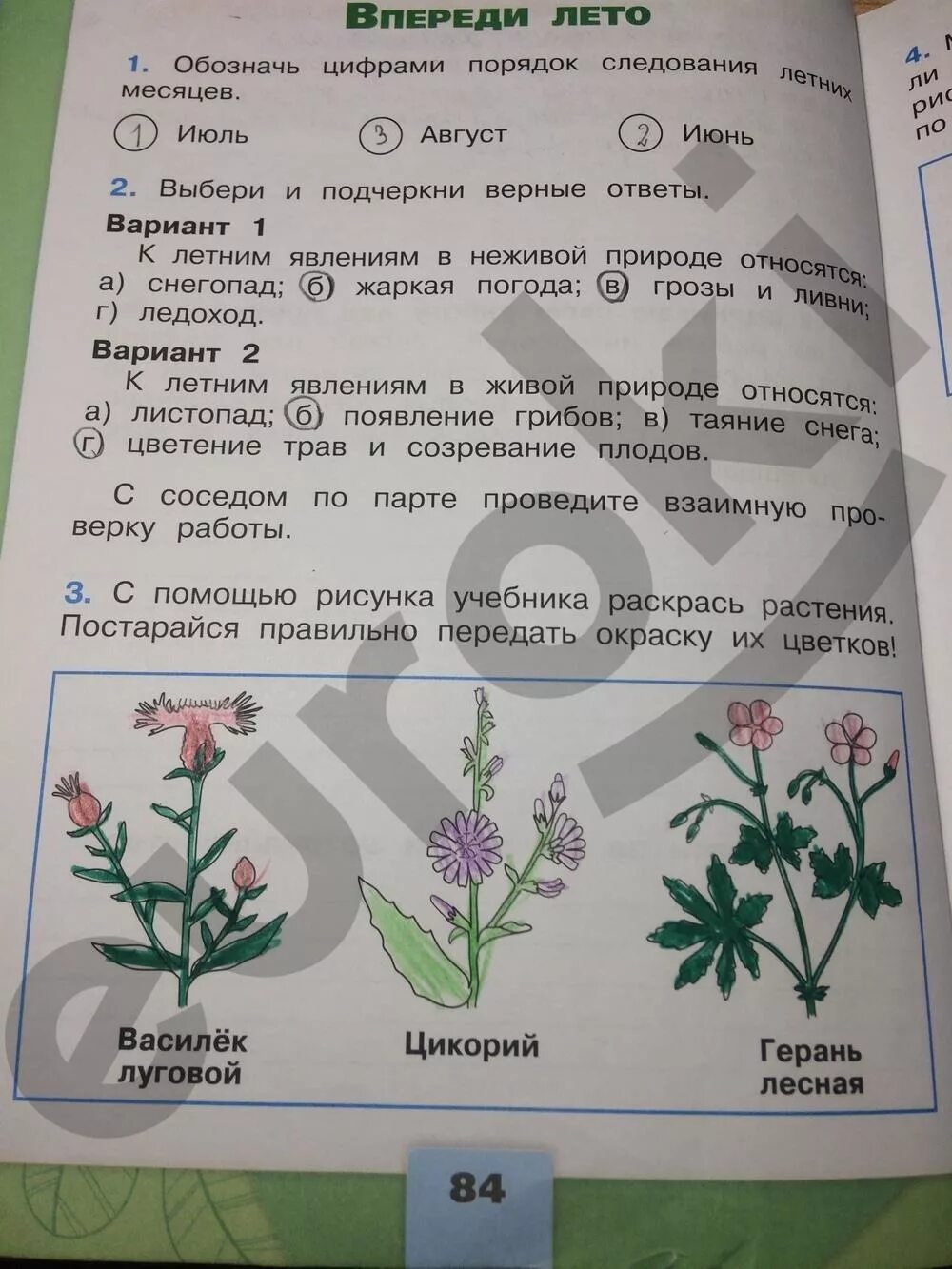 Окружающий мир тпо страница 43. Окружающий мир тетрадь рабочая тетрадь 2 класс часть 2 Плешаков. Окружающий мир 2 класс 2 часть рабочая тетрадь а а Плешаков 2 часть. Окружающий мир рабочая тетрадь класс 2 часть Плешаков. Окружающий мир 2 класс рабочая тетрадь 2 часть Плешаков.