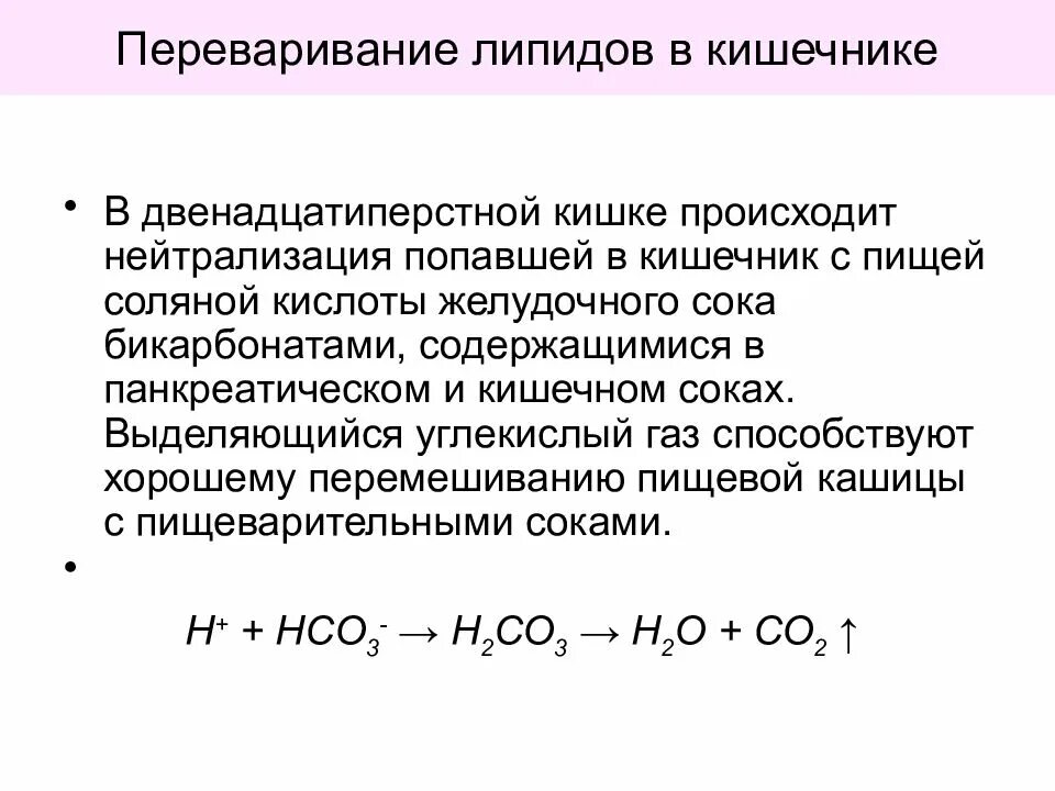 Реакция гидрокарбоната и соляной кислоты. Нейтрализация соляной кислоты в двенадцатиперстной кишке. Нейтрализация соляной кислоты в 12 перстной. Переваривание липидов в двенадцатиперстной кишке. Нейтрализация соляной кислоты в двенадцатиперстной кишке физиология.