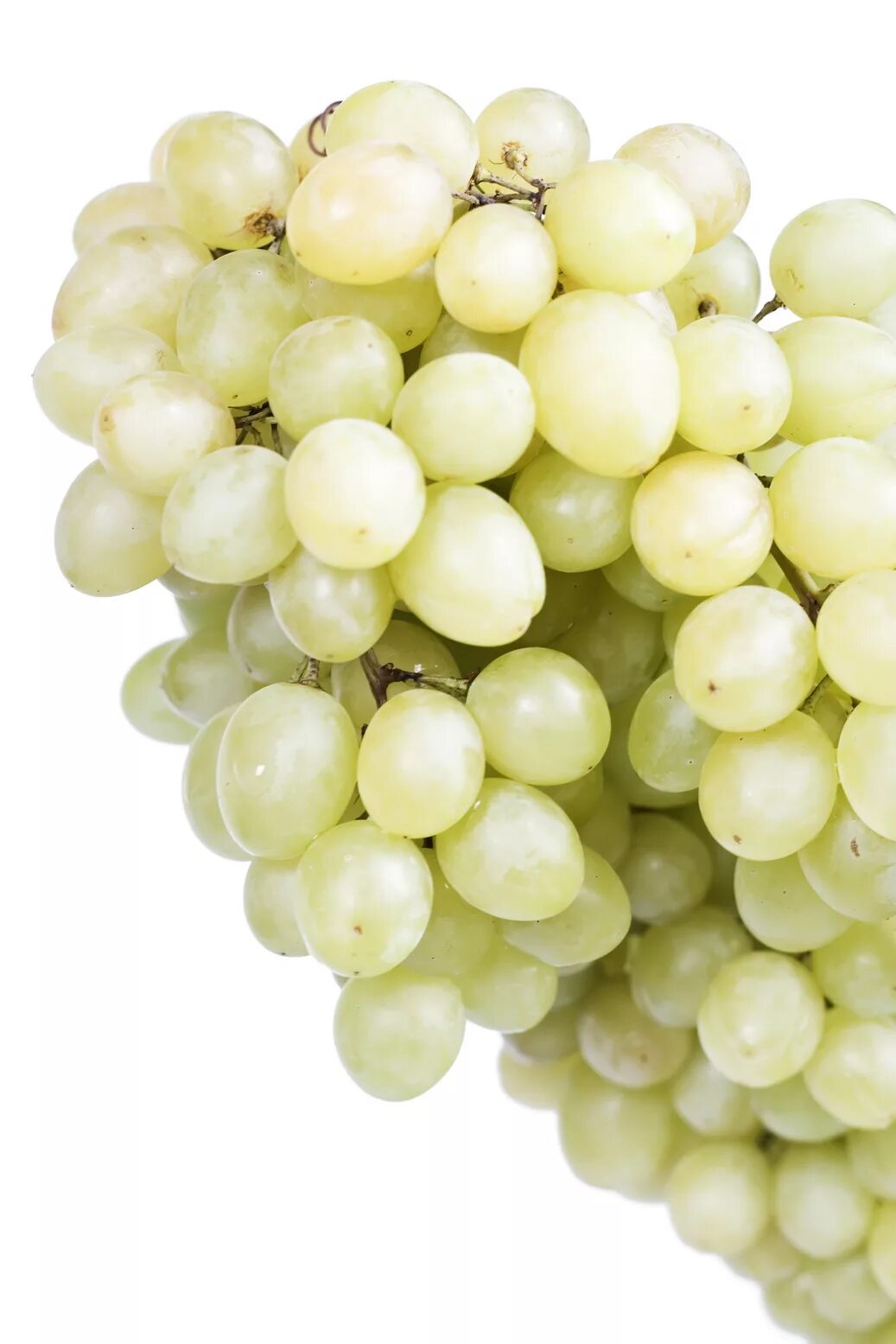 White grape