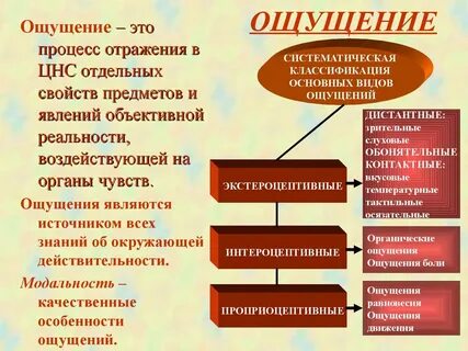 Ощущение это в психологии кратко