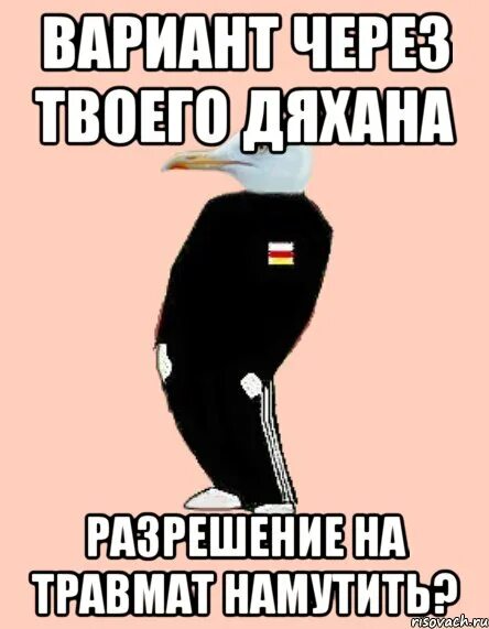 Песня намутил гордо уходил. Чайка мемы. откинулся мем. чаёк мем. чето намутил да да да гордо уходил.