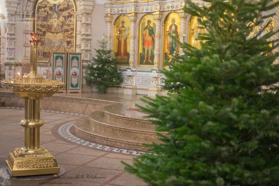 появились над вертепом ангелы слушать