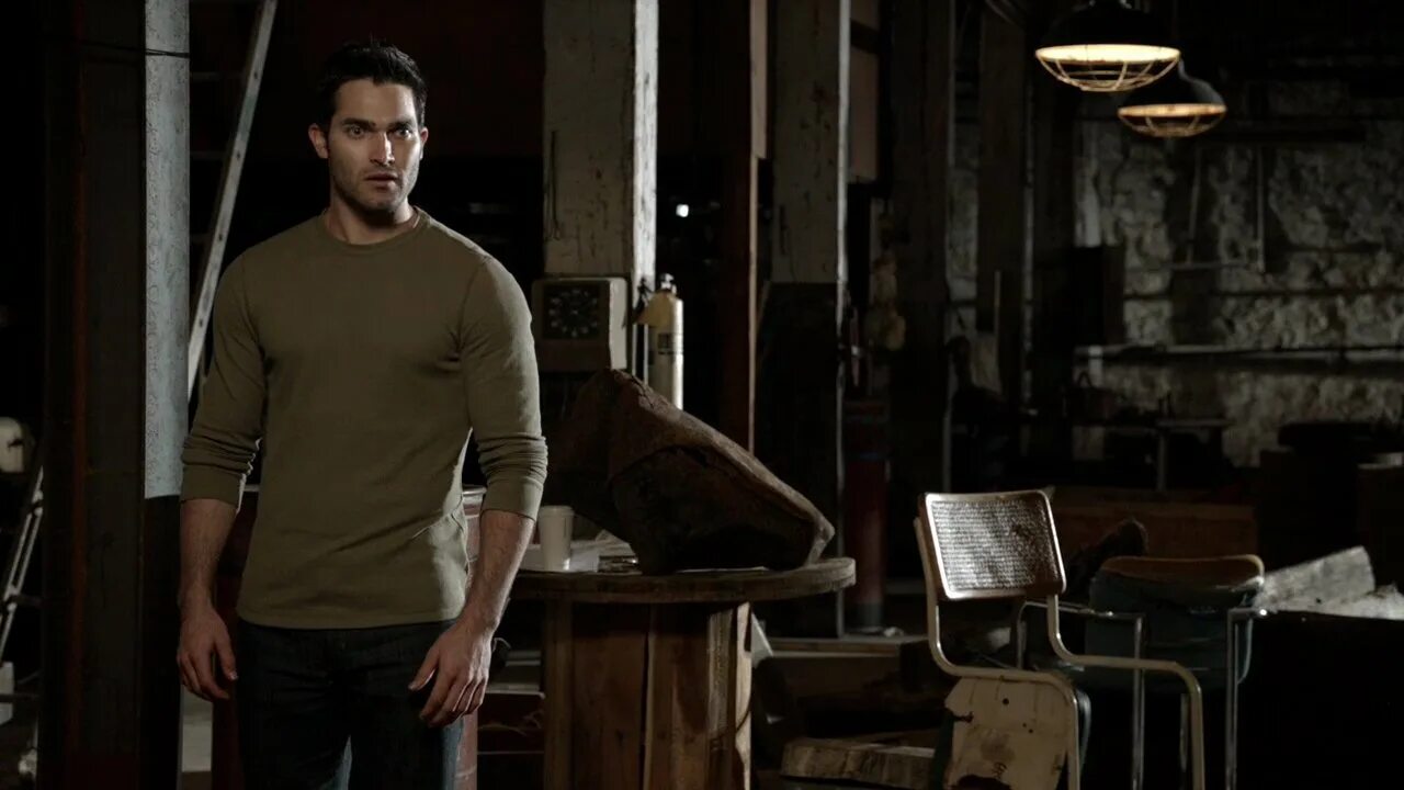 дом стилински волчонок. школа бейкон хиллс. волк в домашних условиях. волчонок фото. молодой волк.