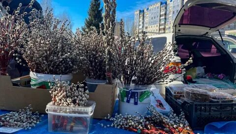 Воскресенье в барнауле