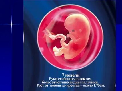 Недели р