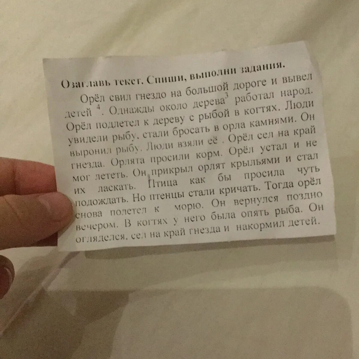 Ей было 40 текст. Текст про орла. Текст Орел свил себе гнездо. Изложение Орел свил гнездо. Текст ( орёл) орёл свил гнездо на большой дороге.