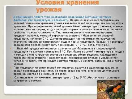 Свежие плоды и овощи хранение