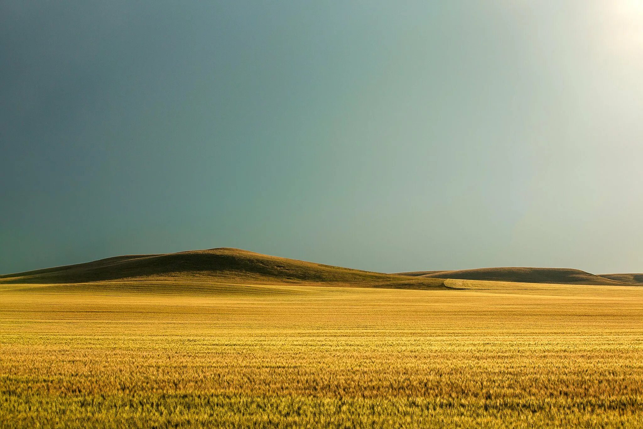 Степные холмы. Степная равнина Калмыкии. Казахстан поле. Казахстан Степная равнина. Узбекистан холмы поле солнца.