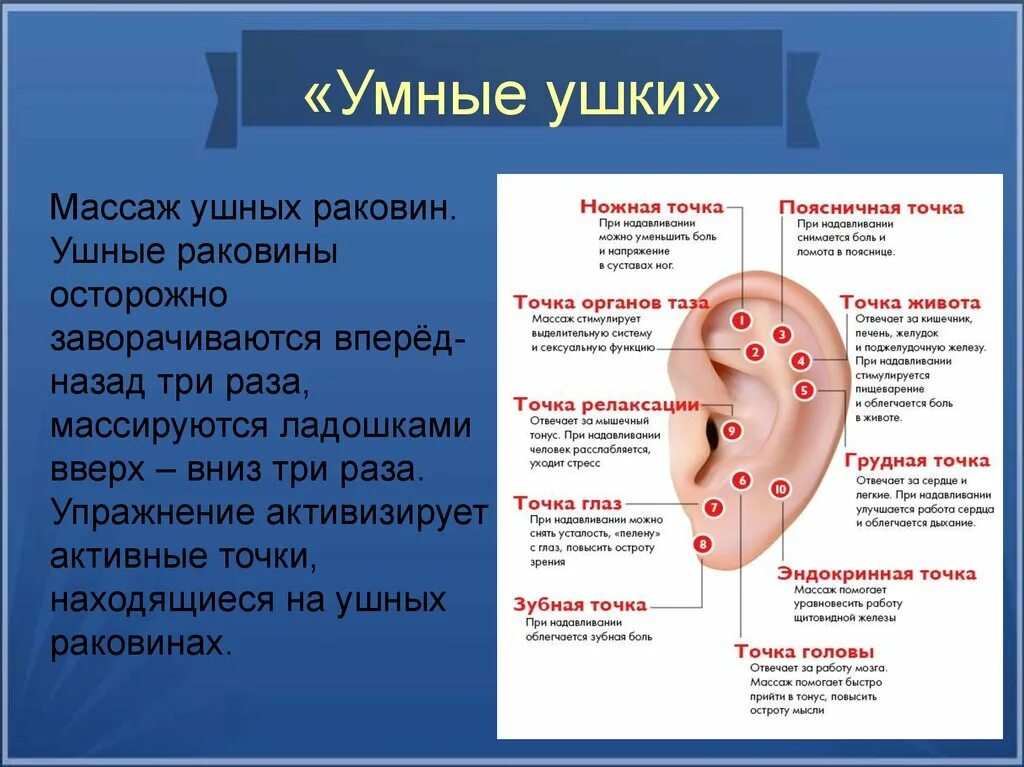 Точки грипп. Точки на ушной раковине. Биологически активные точки уха. Точки ушной раковины человека. Биоактивные точки на ушной раковине.