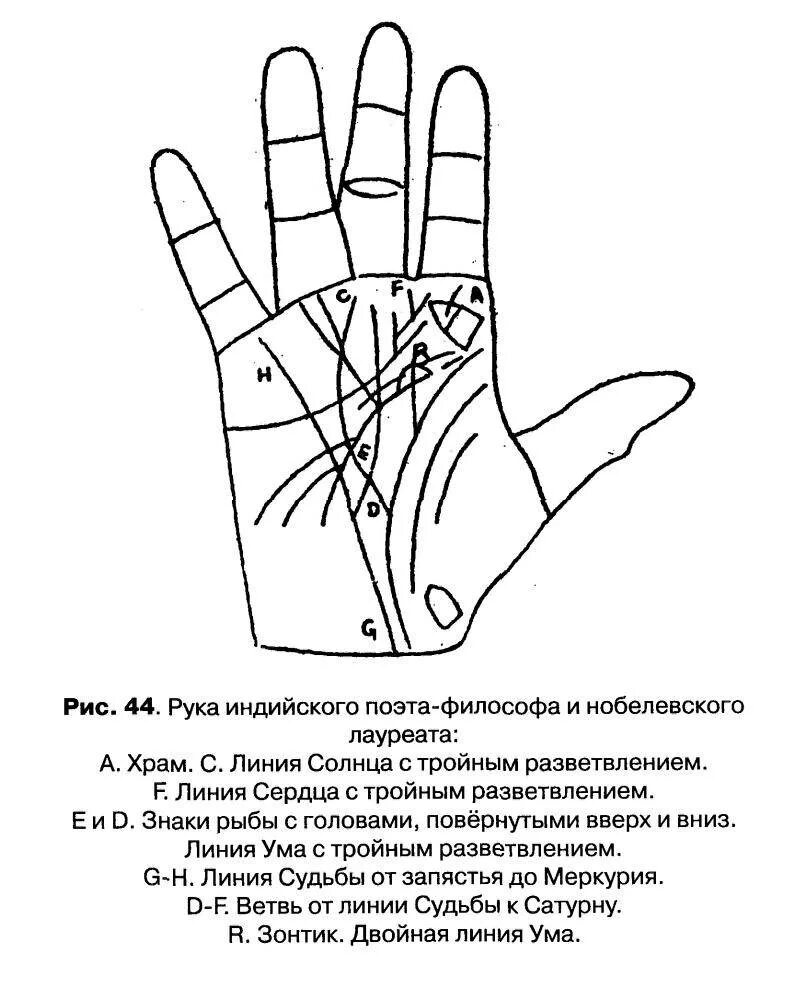 Как узнать ладони линии. Хиромантия холм аполлона знаки. знаки на бугре аполлона хиромантия. линия аполлона на руке хиромантия. линии на холме аполлона на руке.
