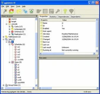 Pgadmin runtime environment