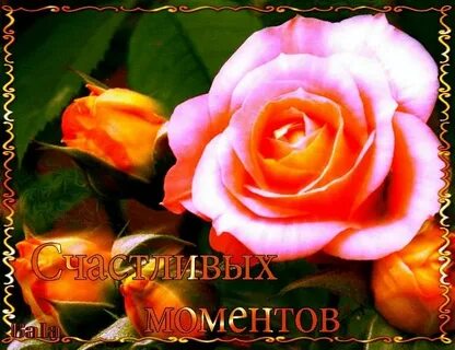 Желаю счастливых мгновений