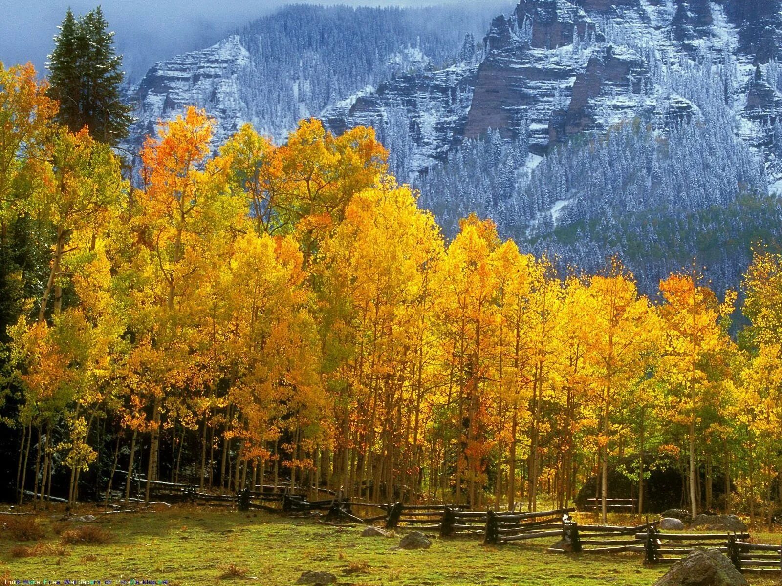 Осенний лес очень красивые. Осень в горах. Осенняя природа. Красивая осень. Лес осенью.