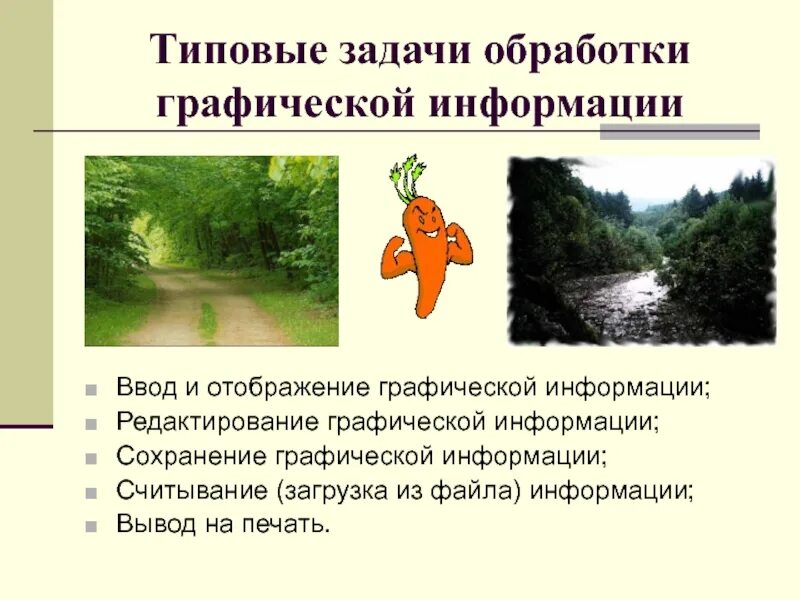 Общие задачи обработки информации. Типовые задачи обработки графической информации. технология обработки графической информации. технология обработки графики. отображение графической информации.