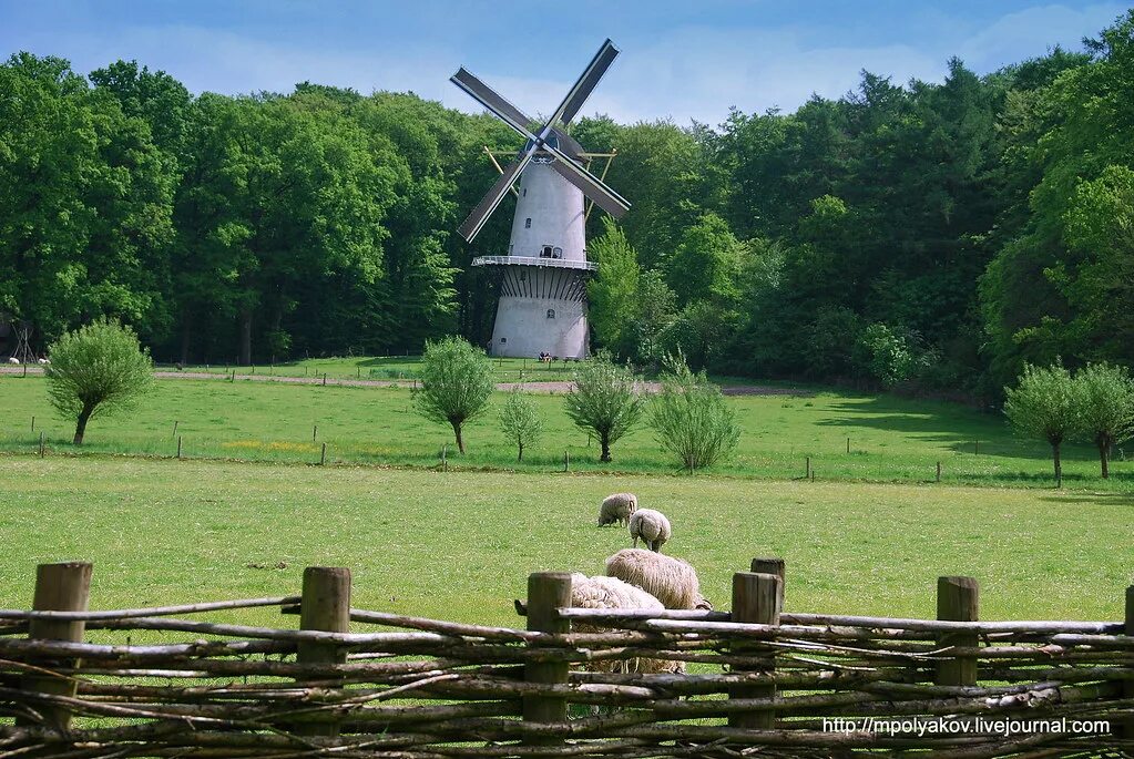 Петербург в миниатюре александровский парк санкт-петербург. Спб музей под открытым небом. Музей под открытым небом в санкт петербурге. Музей под открытым небом в санкт петербурге. Исаакиевский собор в миниатюре в санкт-петербурге.