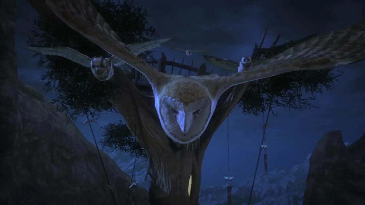 Ga hoole guardians the owls legend. Legend of the Guardians: the Owls of ga'Hoole. Корин легенды ночных стражей. Легенды ночных стражей сорон. Корин из легенды ночных стражей.