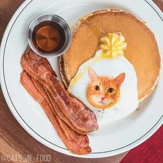 Если бы котики были