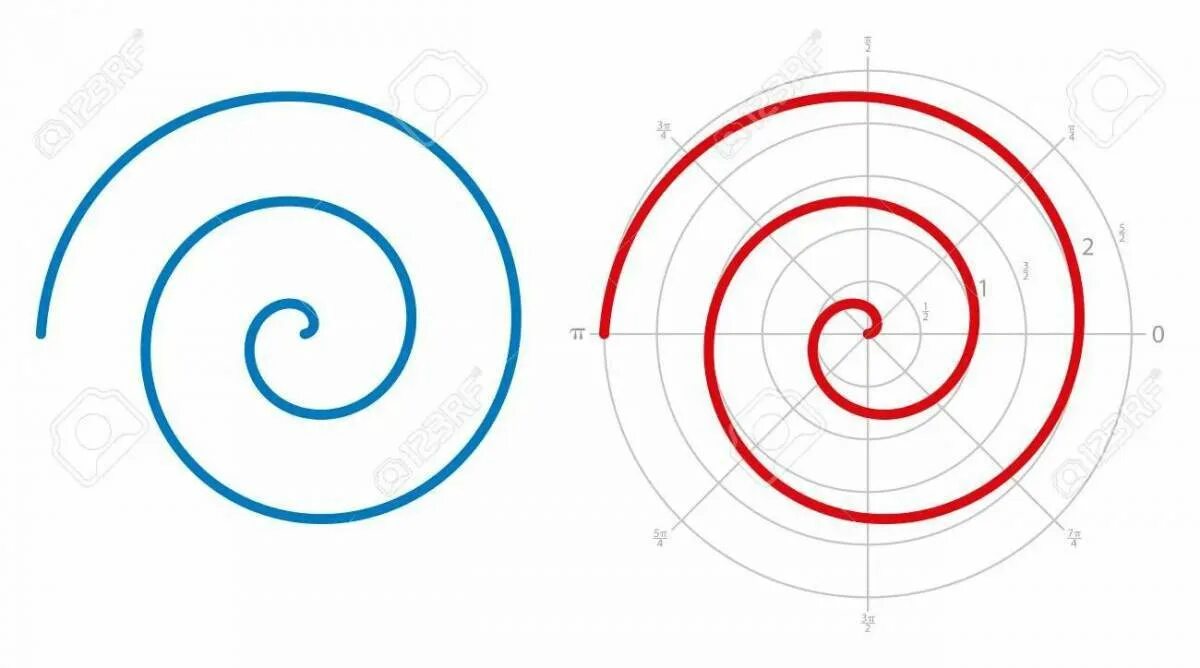 3. Спиралевидное движение. Спираль. 3. 5 оборота.