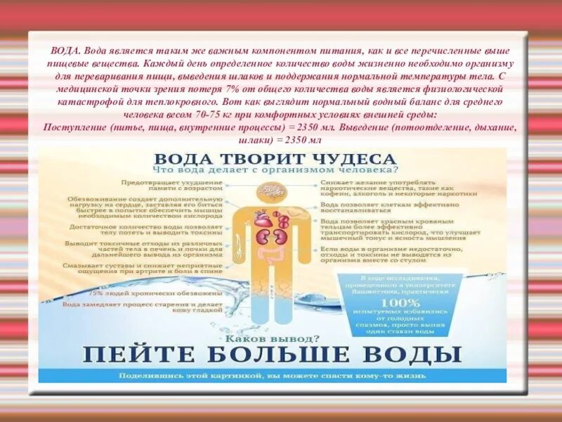 Основные питательные вещества. Основные компоненты питания человека. Проект по окружающему миру питательные вещества. Продукты с высоким содержанием воды. Вода составляет.