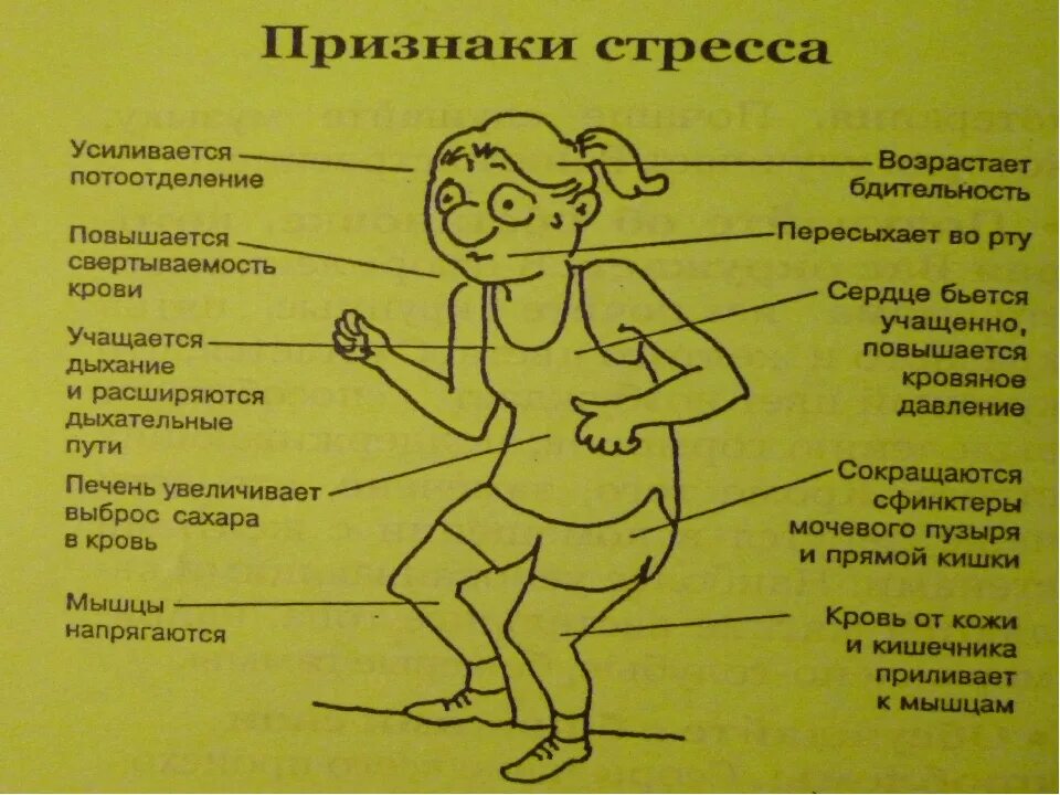 Смерть после стресса. Признаки стресса. Стресс симптомы стресса. Внешние проявления стресса. Проявления стресса у человека.