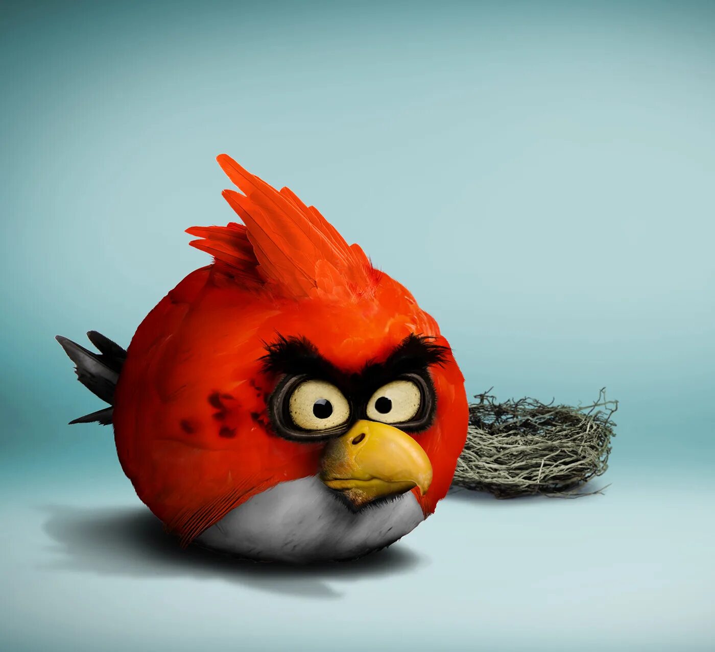 Angry birds 3d. Энгри бердз злые птички. Птичка Red из Энгри бердз. Птичка ред из Энгри бердз в реальной жизни. Энгри бердз красная птица злая.