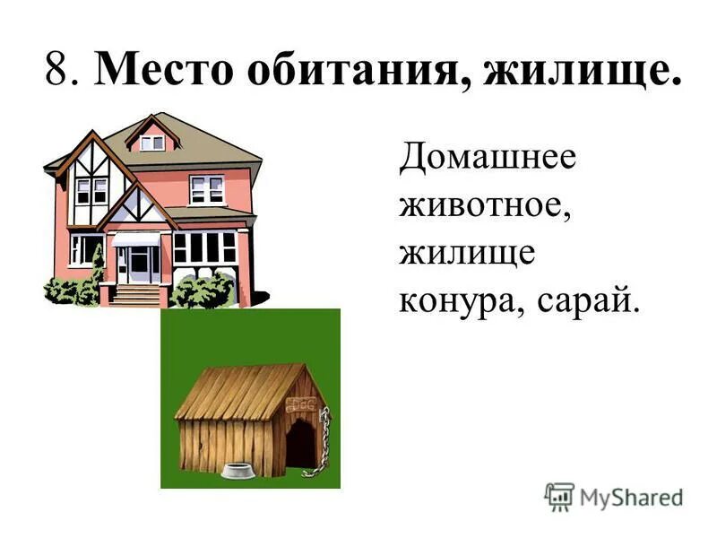 загадка я жилище для зверька