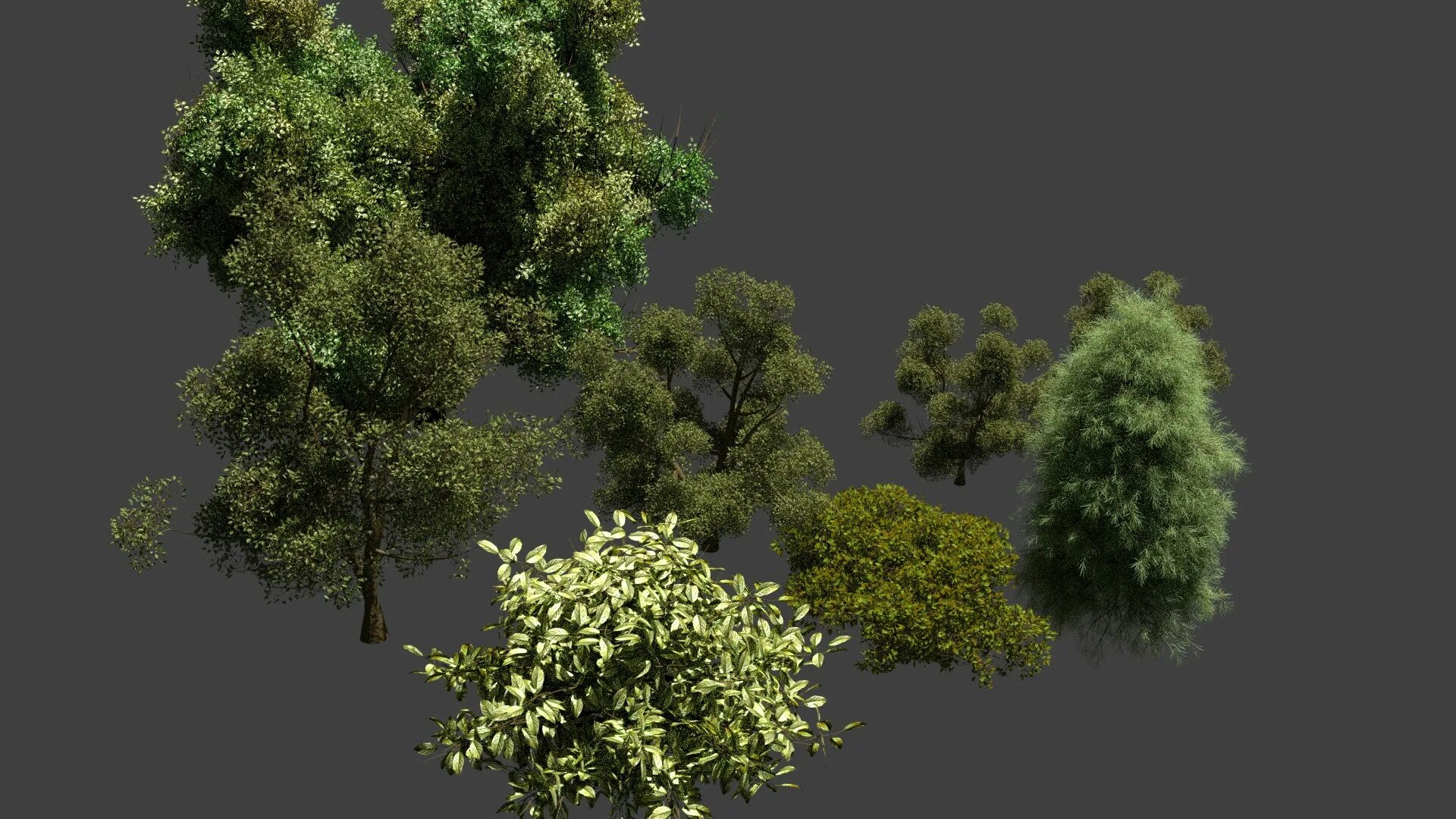 Blend tree. Blender дерево. дерево в блендер 3д. куст в блендере. реалистичное дерево для блендера.