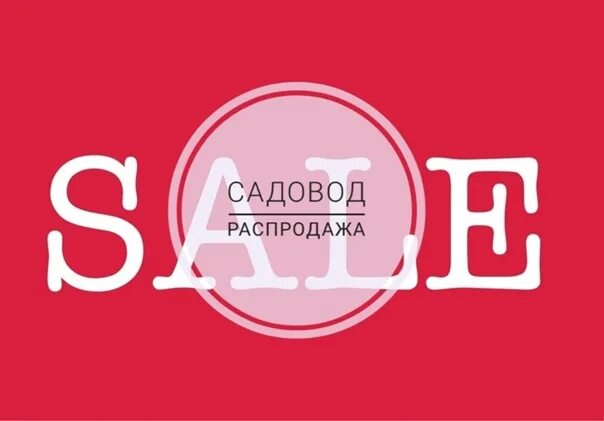 Садовод фреш. Свитшот christian dior. Садовод фреш. Спортивный костюм just do it мужской. 1с:садовод.
