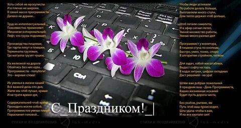 Чтоб дольше