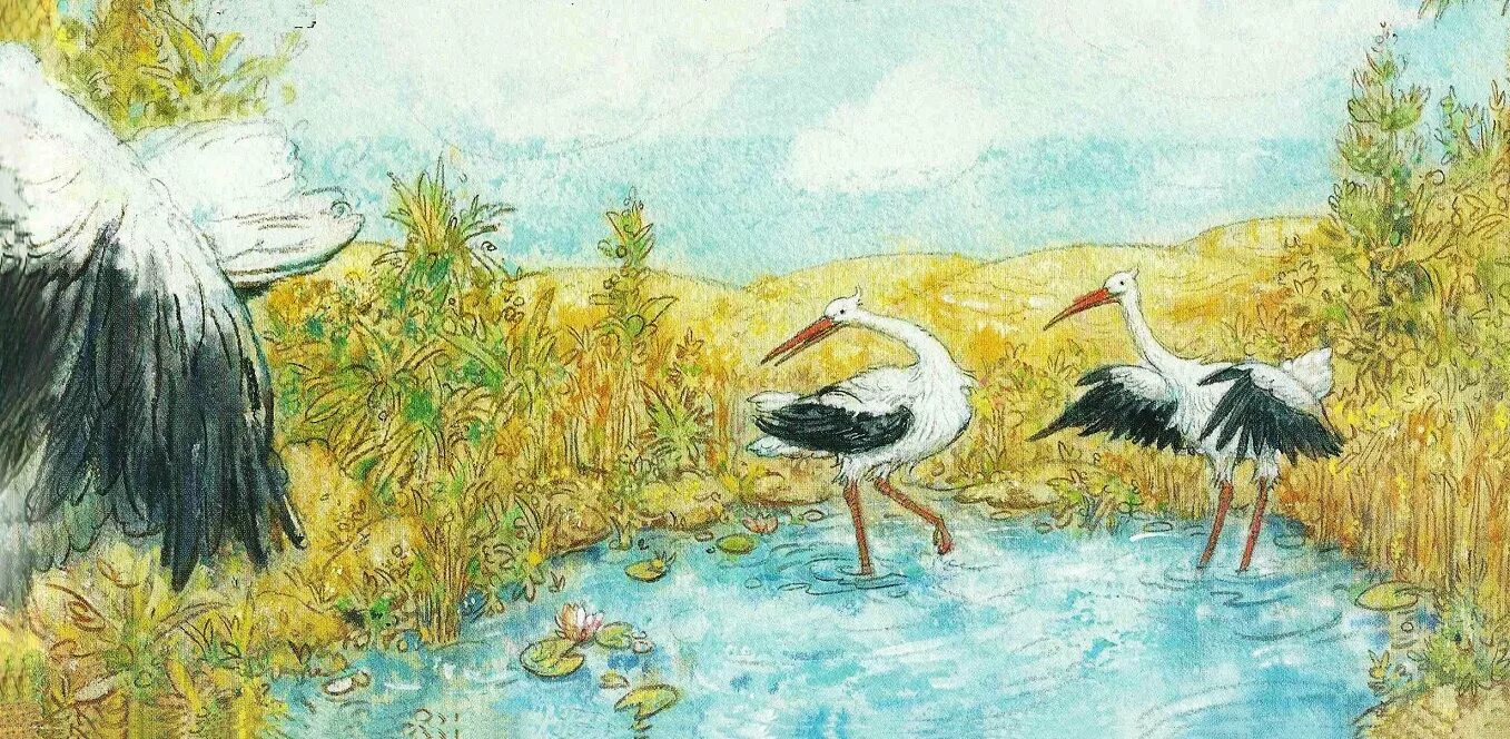 Гауф аист. Калиф-аист. сказки гауф халиф аист. калиф аист иллюстрации. калиф-аист гауф раскраска.