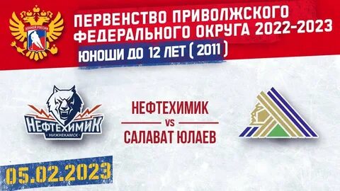 Пфо 2011 2024 2025