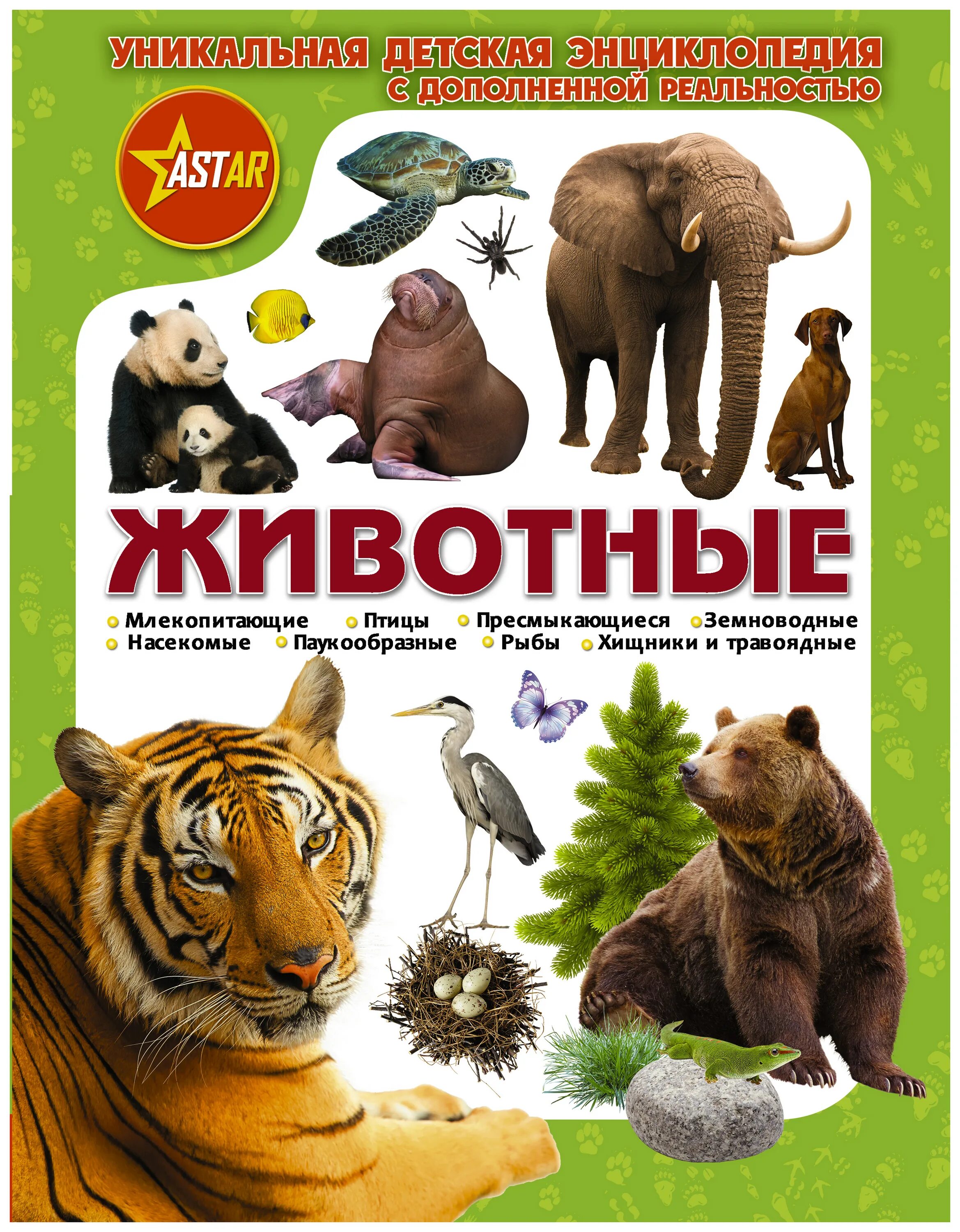 Книги о животных. Животные. энциклопедия. книга животные. книги о животных для детей.