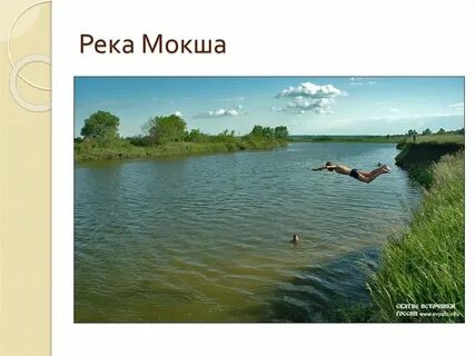 На поймах рек встречаются