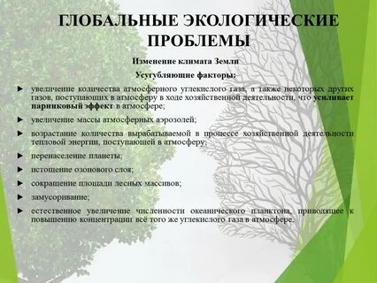 Экология разработки