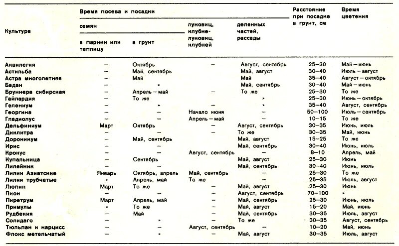От посева до цветения. От посева до цветения