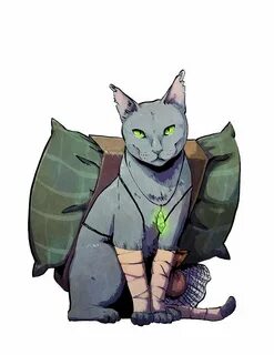 Awakened cat