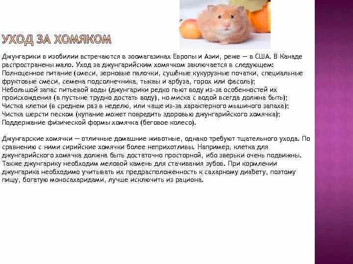 Мышиный запах заболевание. Фенилкетонурия мышиный мышиный запах. мышиный запах у человека причины. укажите патогенетическую причину «мышиного» запаха.. мышиный запах тела.