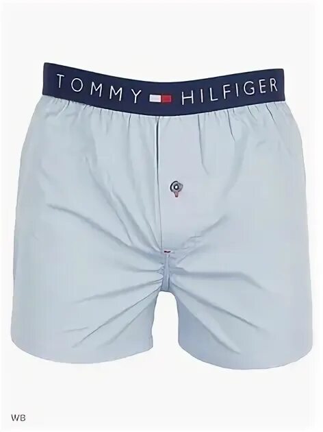 Трусы мужские hilfiger. Трусы Томми Хилфигер. Трусы Томми Хилфигер мужские. Томми Хилфигер Томми трусы. Семейные трусы Томми Хилфигер.