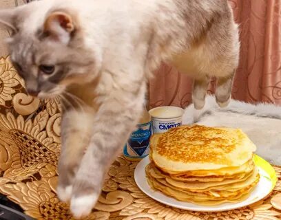Дай картинки блин