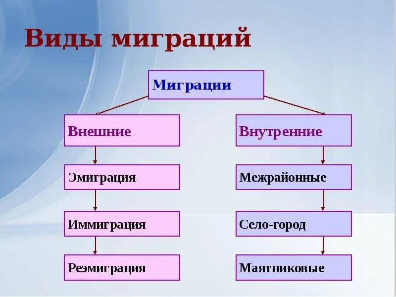 Направление внутренней миграции. Виды миграции. Виды миграций схема. Классификация миграции населения. Внешняя и внутренняя миграция.