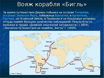 Путешествие на корабле бигль